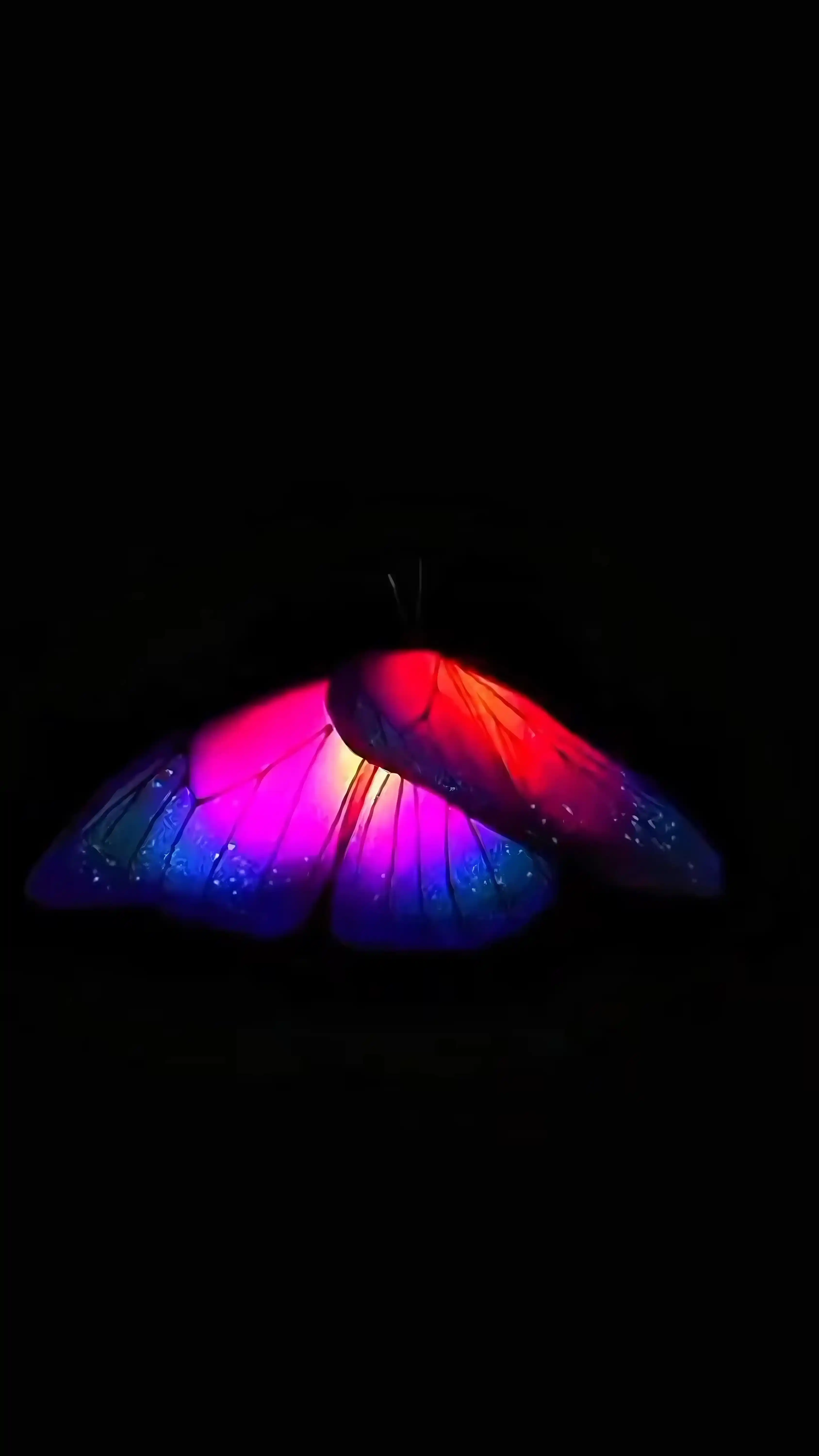Neon Butterfly Digital Art - Colorful Insect Wallpaper