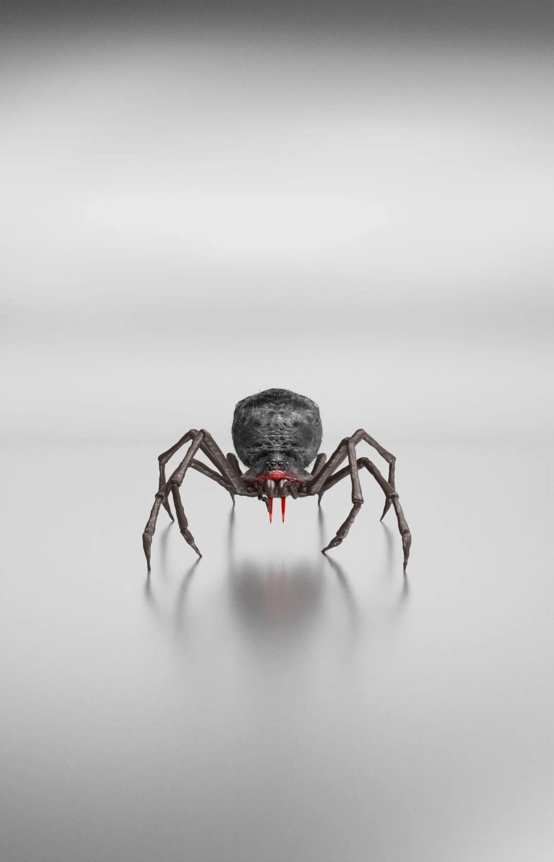 Terrifying Black Spider with Glowing Red Fangs - Dark Horror Wallpaper
