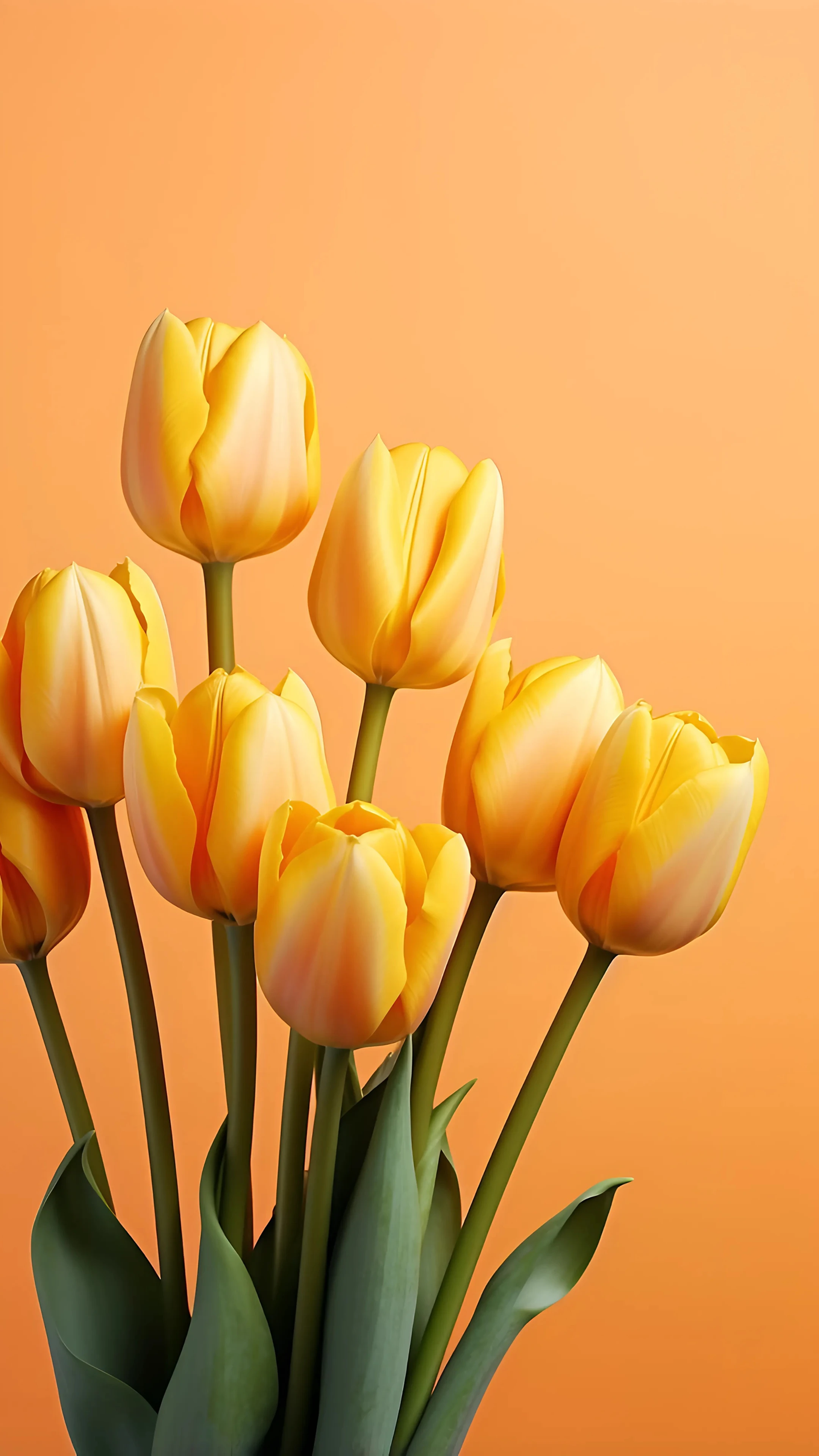Yellow Tulips on Orange Background