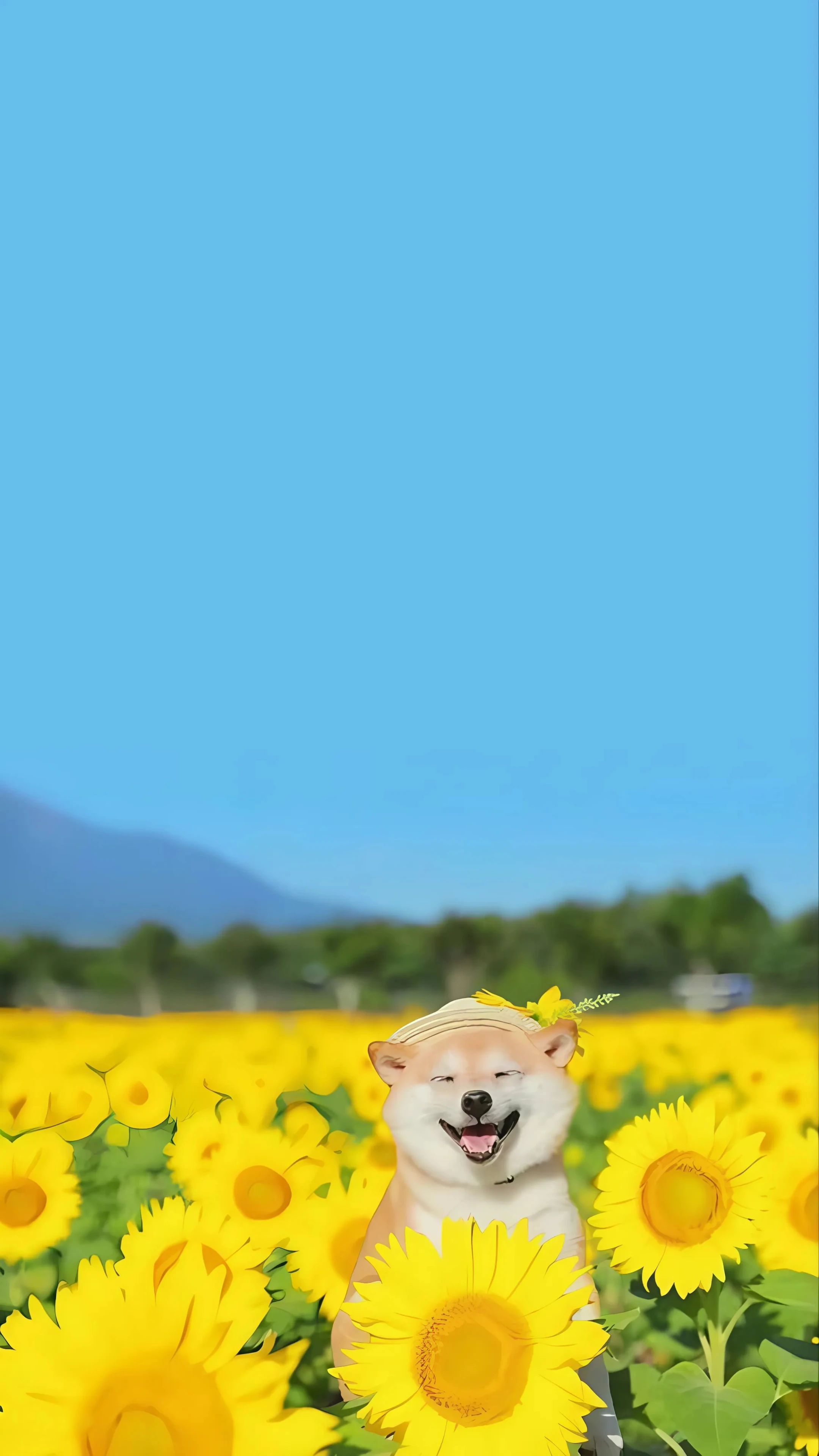 Wallpaper 481