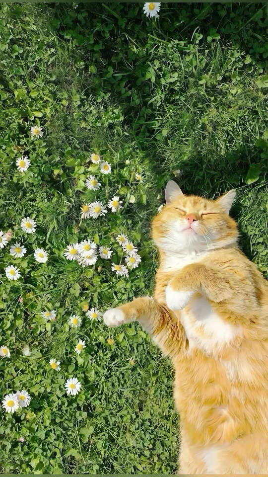 479