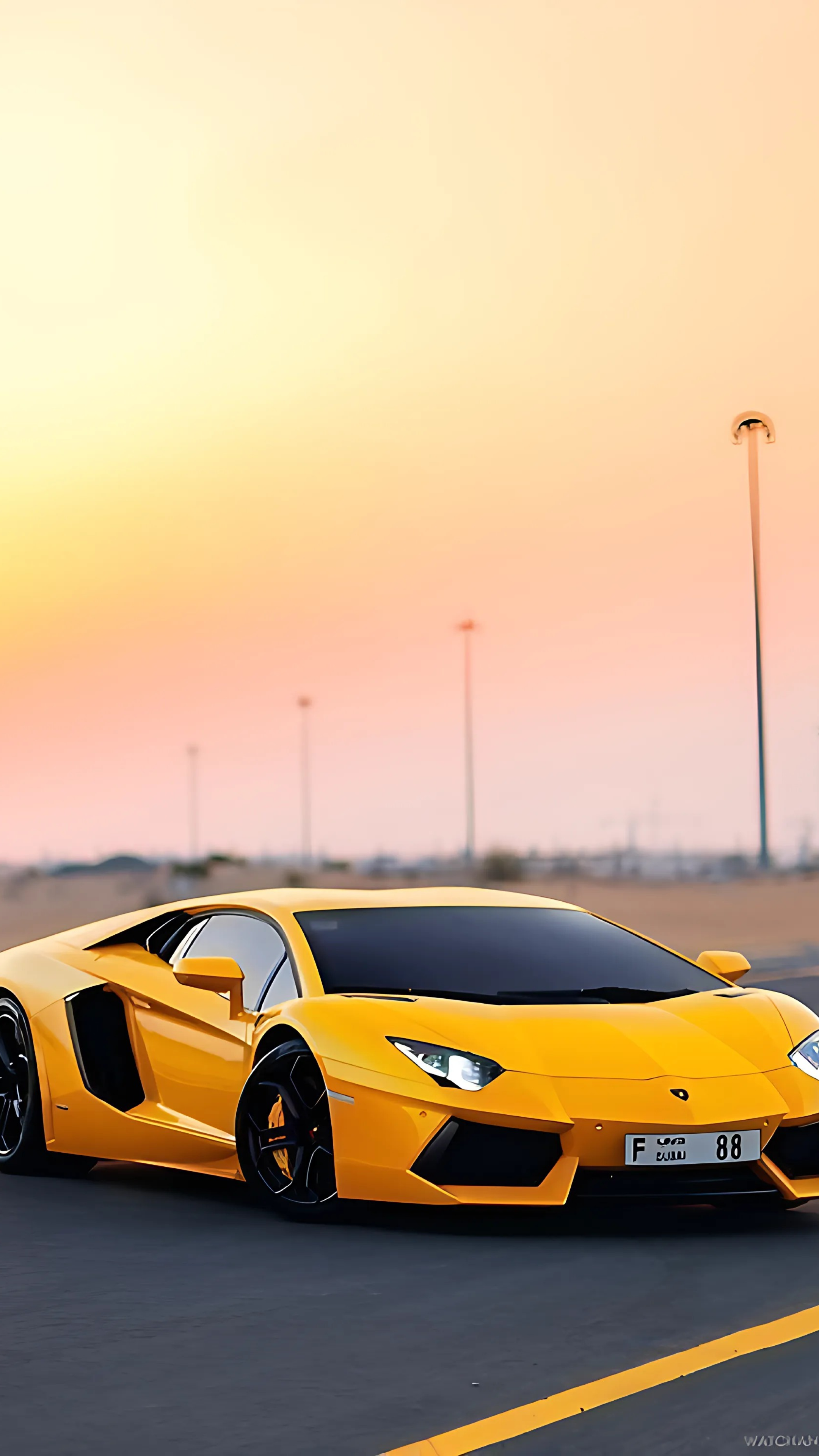 Wallpaper 1557