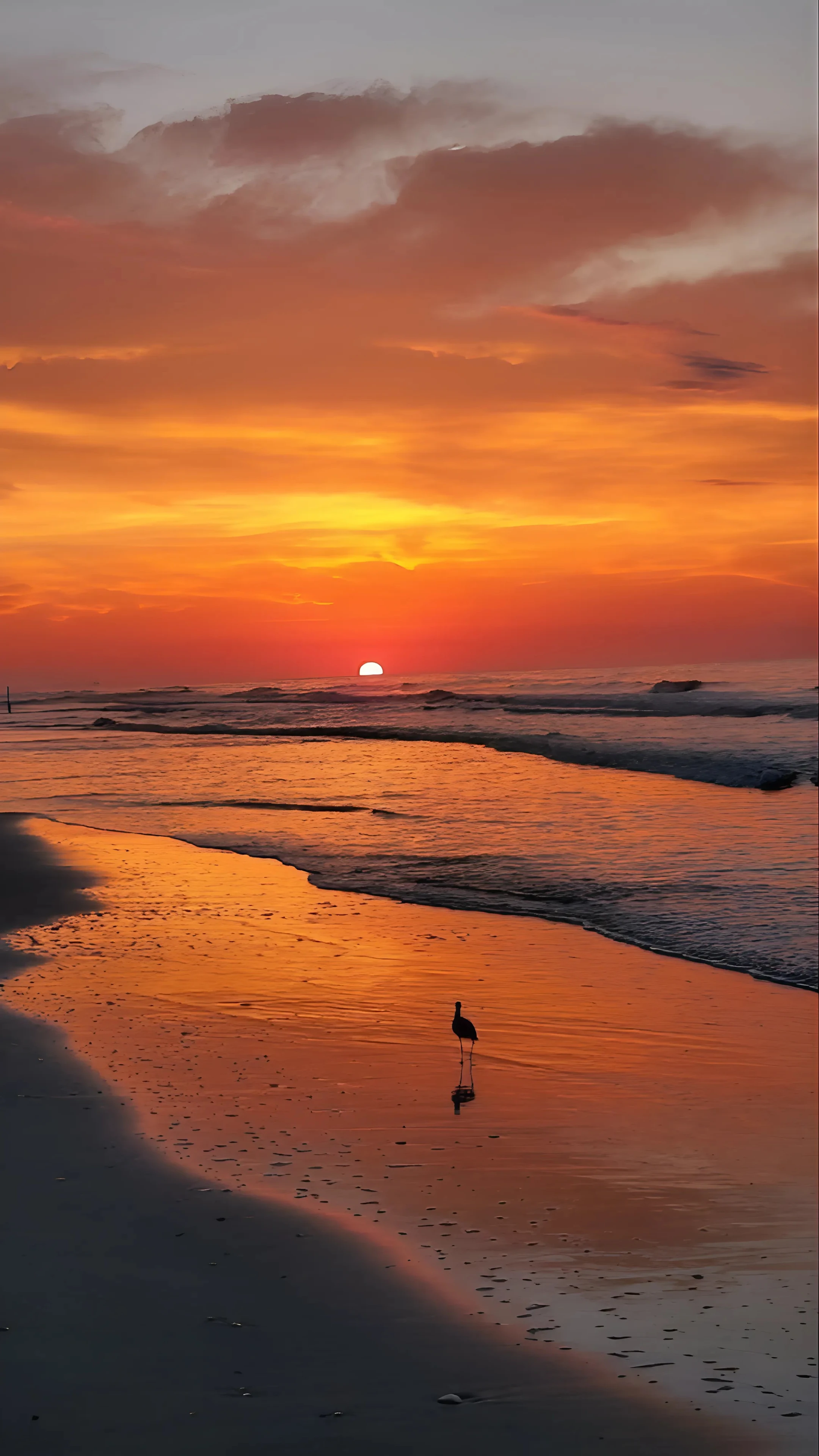 Wallpaper 521