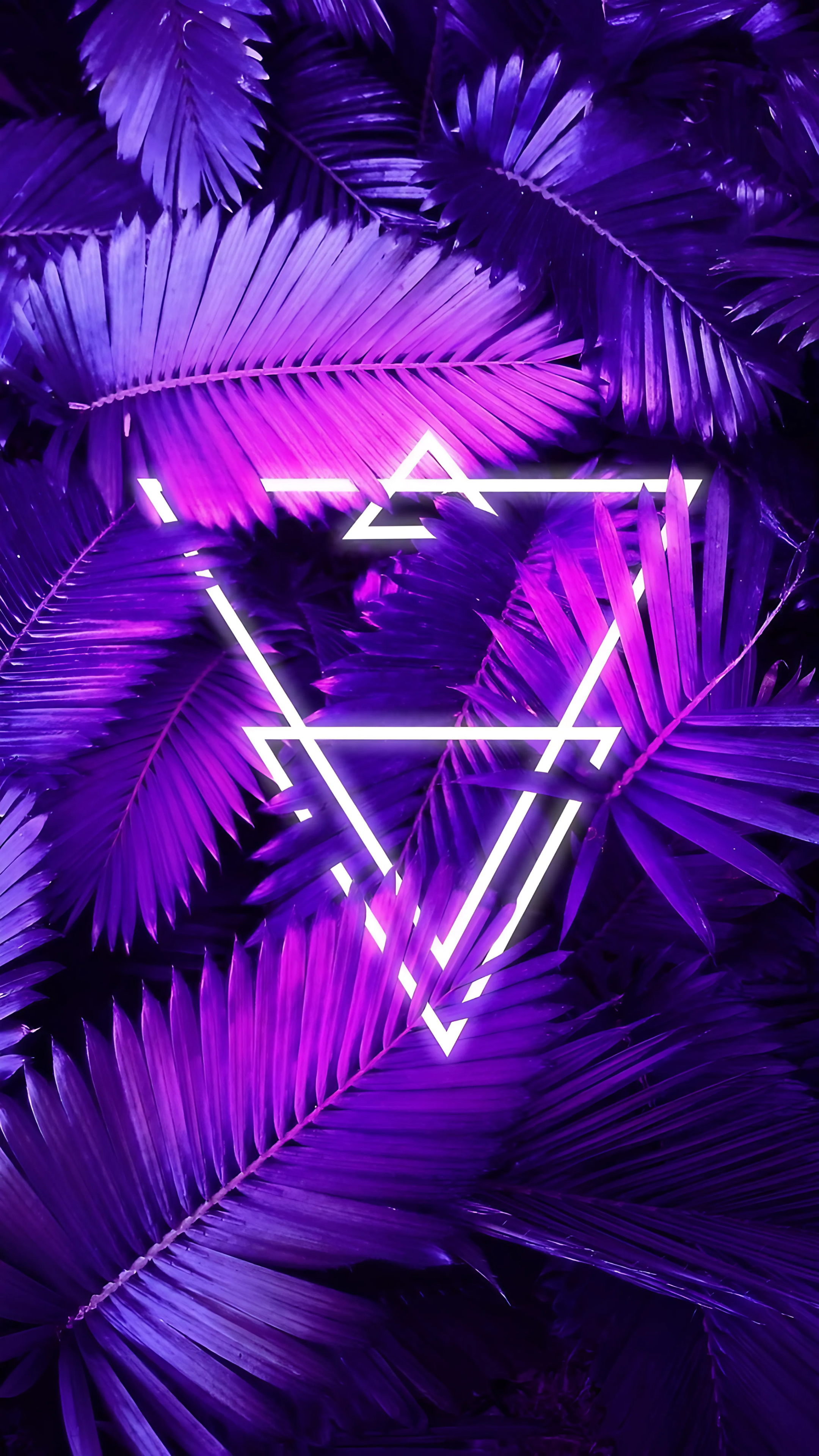 Wallpaper 1691