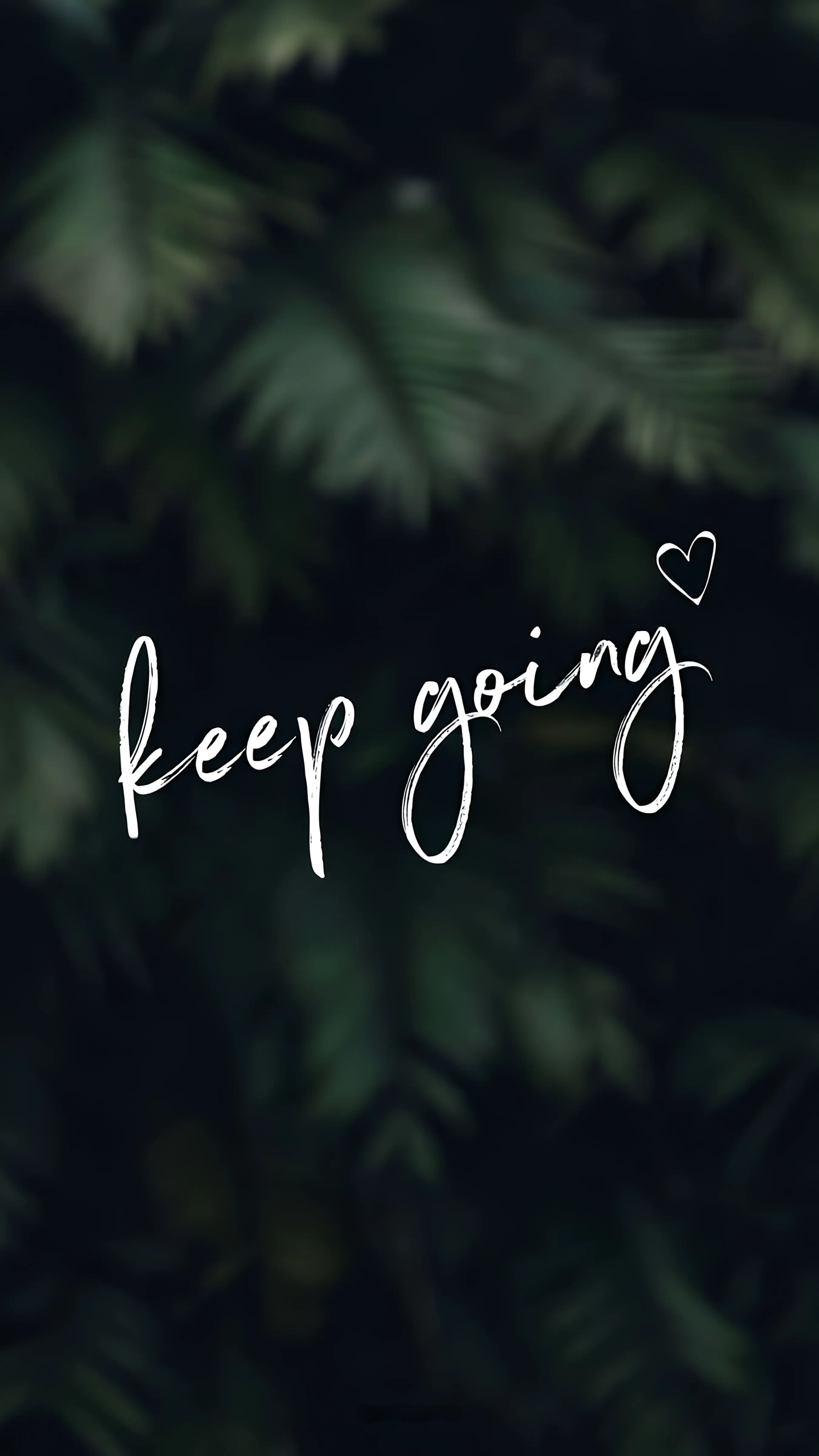 Wallpaper 1711